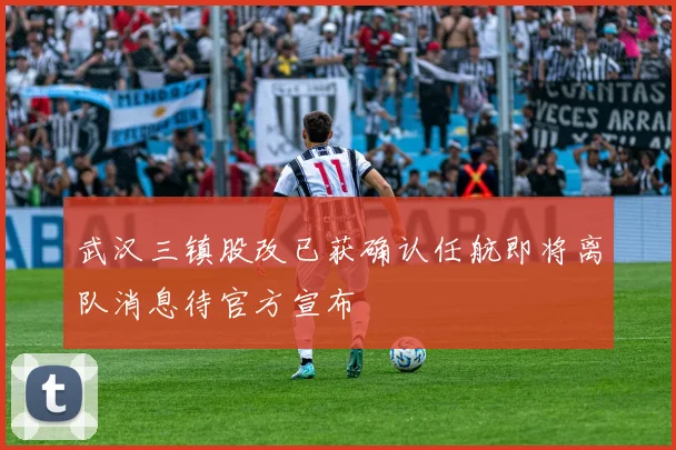 武汉三镇股改已获确认任航即将离队消息待官方宣布