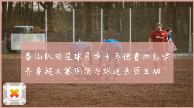 泰山队明星球员泽卡马德鲁加彭啸齐鲁超决赛现场与球迷亲密互动