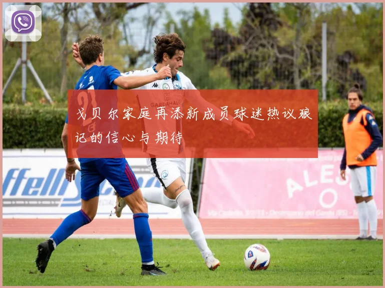 戈贝尔家庭再添新成员球迷热议狼记的信心与期待